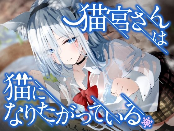 猫宮さんは猫になりたがっている。  エロ画像258446