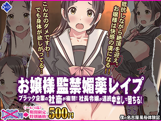 お嬢様監禁媚薬レ●プ-ブラック企業の社畜が復讐！社長令嬢が連続中出しで堕ちる！-  エロ画像556416