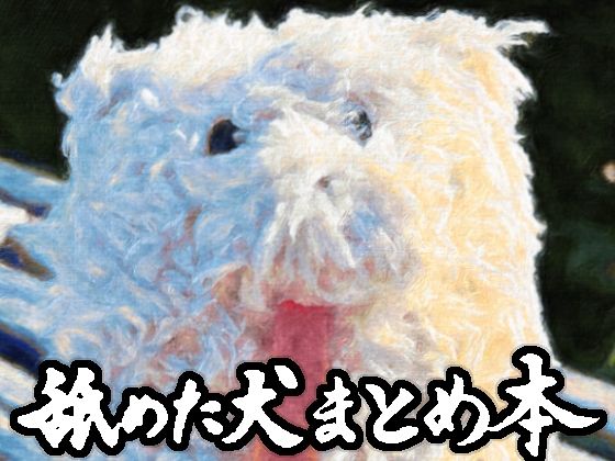 舐めた犬まとめ本  エロ画像617989