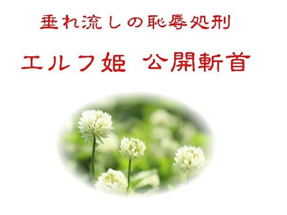 垂れ流しの恥辱処刑エルフ姫公開斬首  エロ画像744959